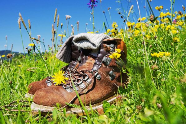 Wolfheze heeft een prachtige omgeving om te wandelen