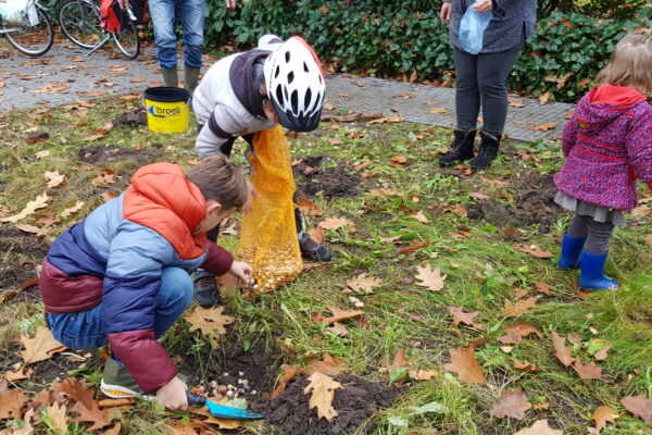 Bloembollenplantdag Wolfhezerweg 6 november 2021