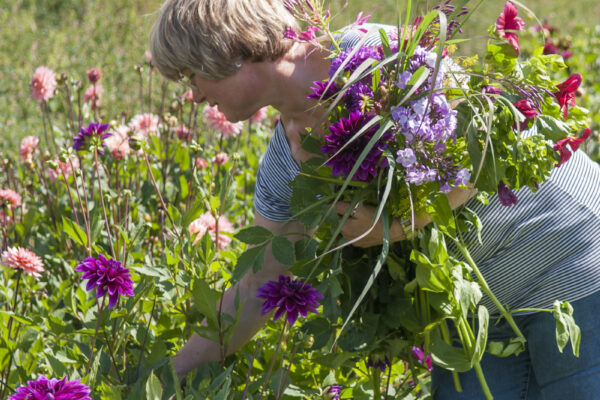 Plukbloemendagen op De Boschhoeve