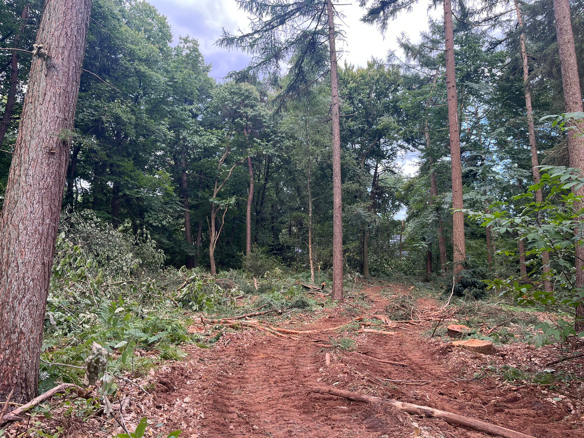 Boswerkzaamheden 2025 Natuurmonumenten Wolfheze zuidzijde
