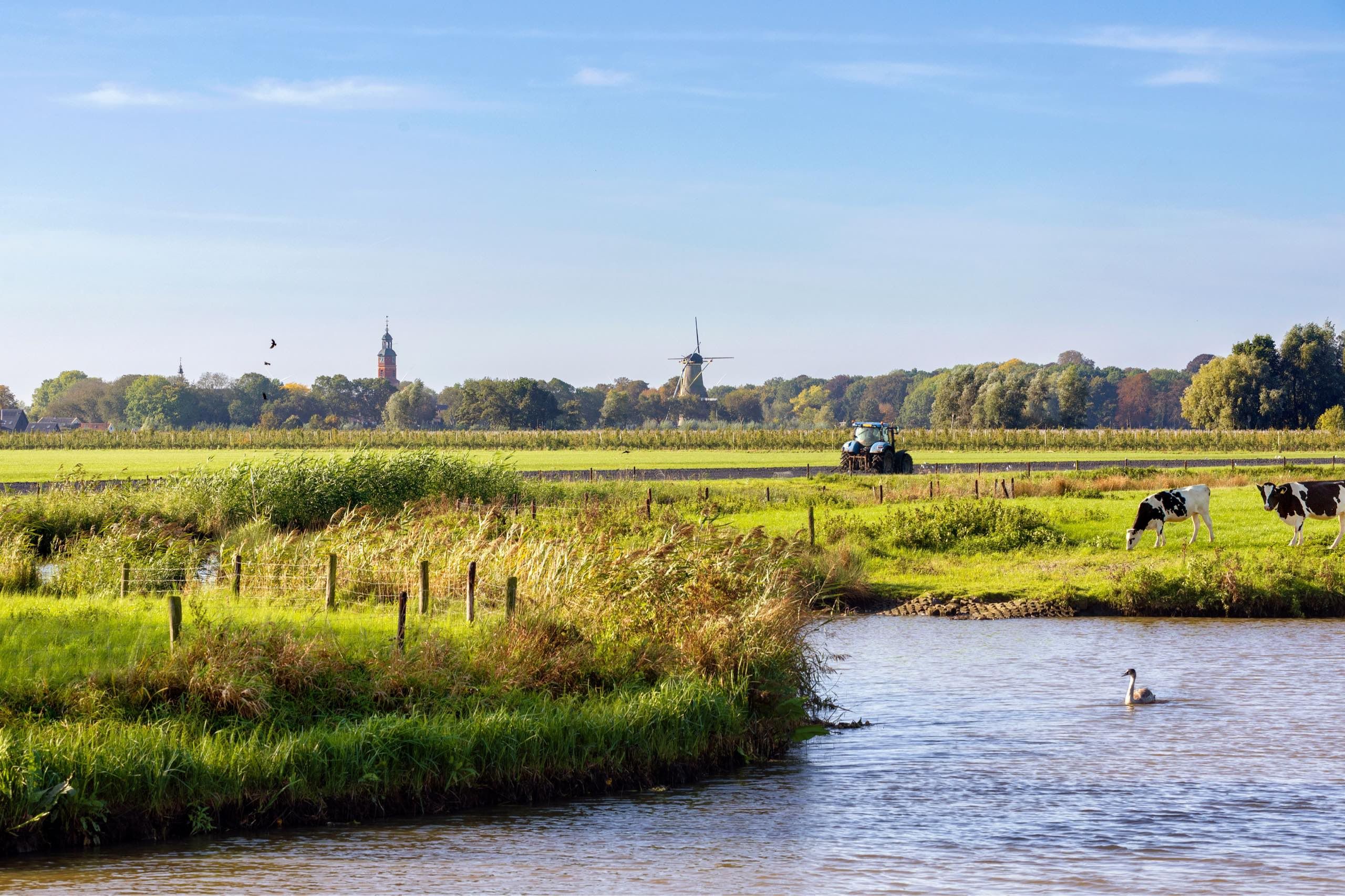 Stikstofuitstoot rondom kwetsbare natuur verminderen.