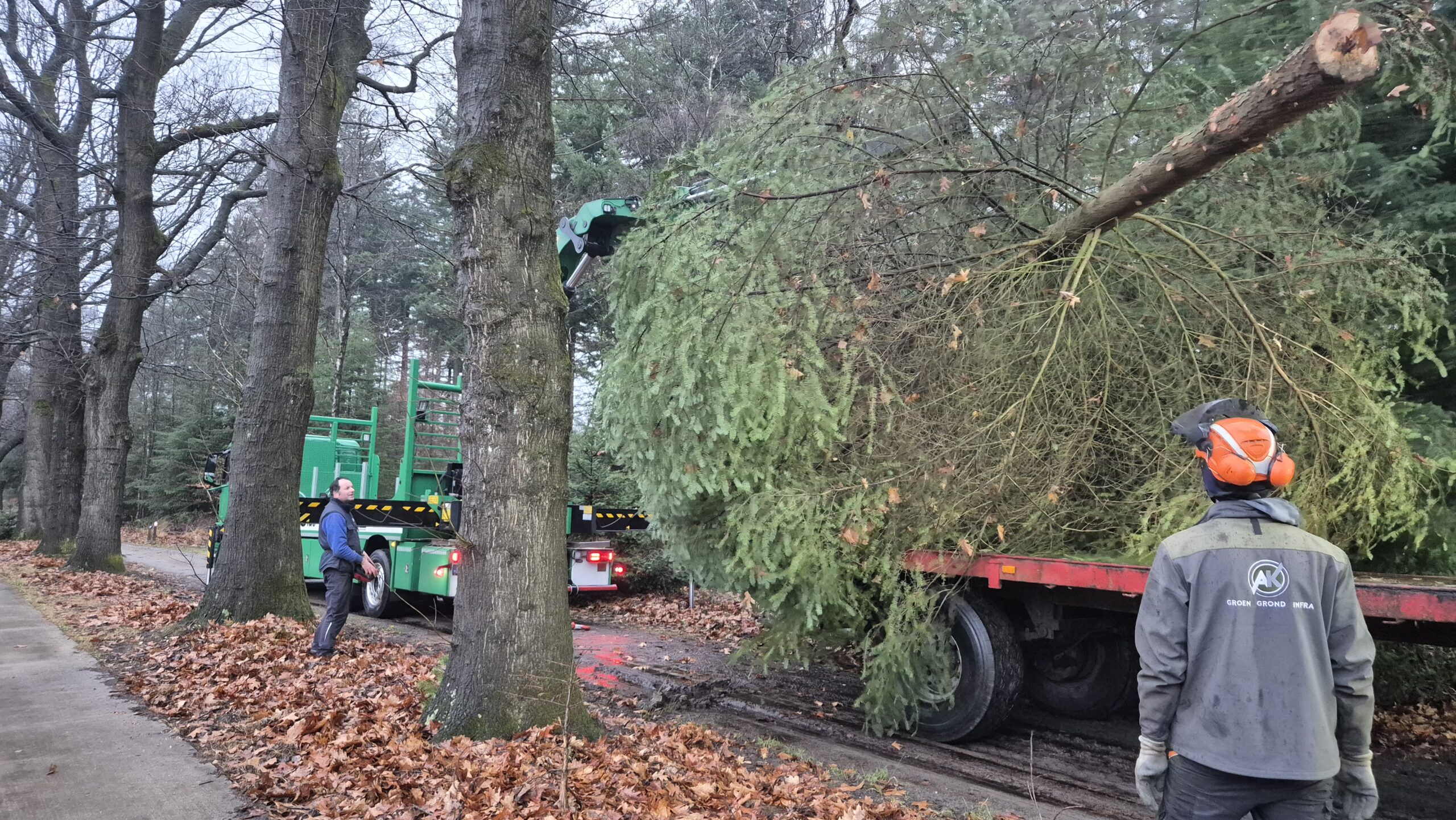 Geen dorpskerstboom zonder enorme inzet van vrijwilligers