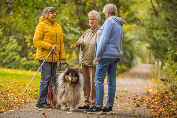 Park van Het Schild met wandelende bewoners.