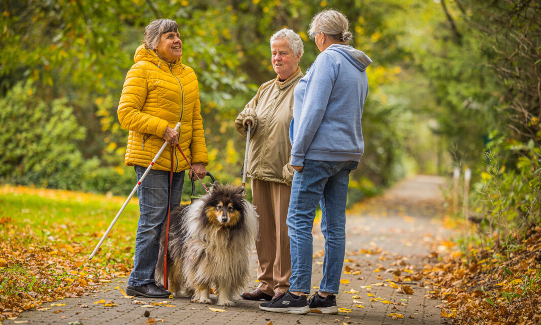 Park van Het Schild met wandelende bewoners.