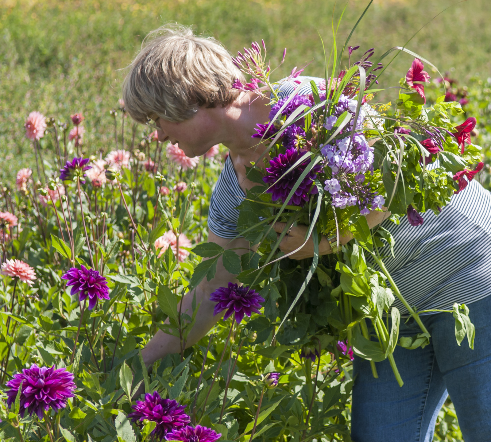 Plukbloemdagen bij De Boschhoeve